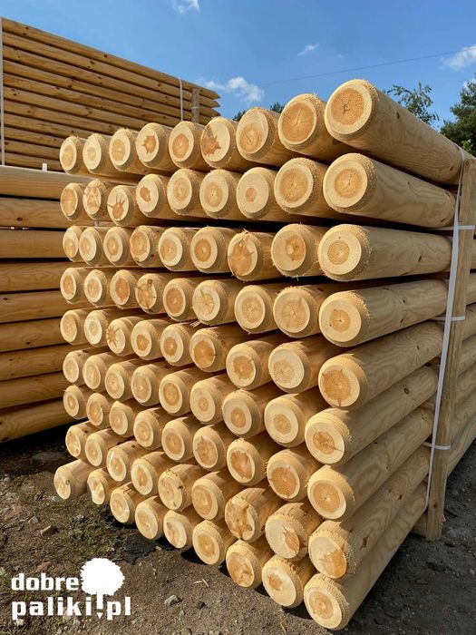 Palik, Palisada, Palik drewniany, Palisada drewniana, fi10 fi12