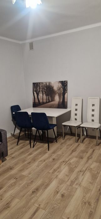 Wynajmę mieszkanie Wolbrom