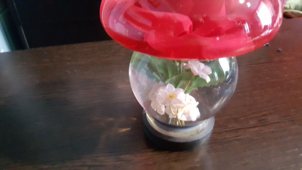 Роза в колбе под стеклом.