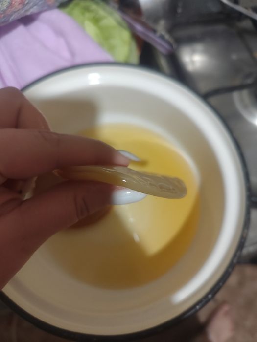 Комбуча, чайний гриб