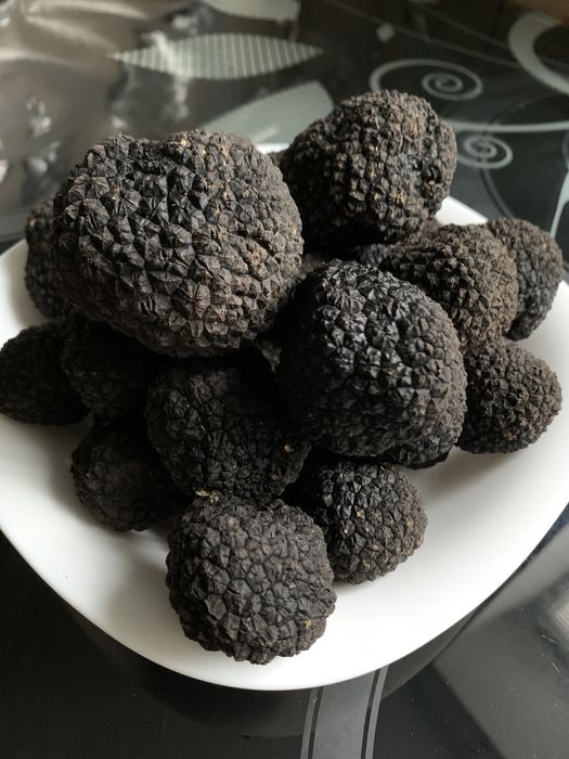 Трюфель Італія чорний свіжий, гриб черный, Tuber Melanosporum