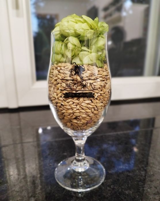 Copo de cerveja artesanal tulipa
