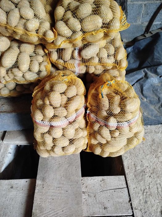 sprzedam jadalne ziemniaki