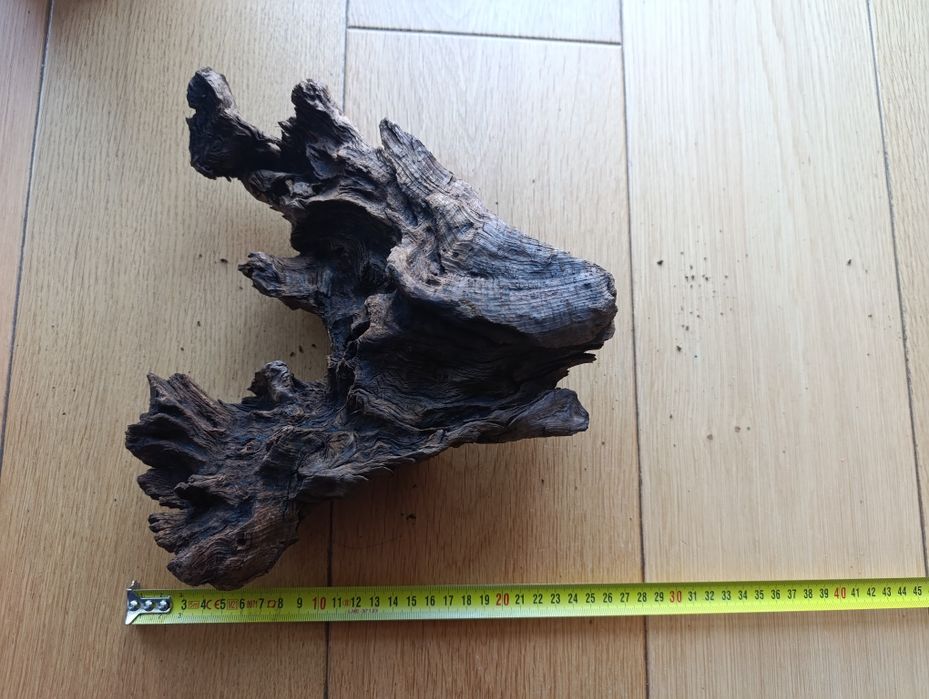 Korzenie do akwarium