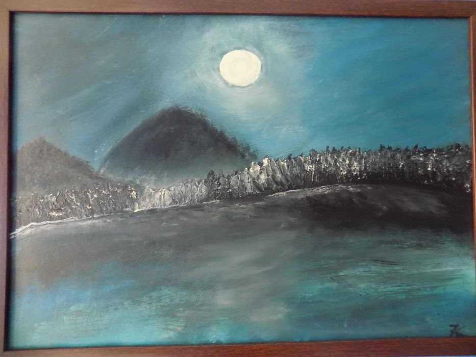 Obraz pt. „Mroczna noc”