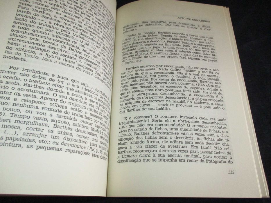 Livro Leituras de Roland Barthes