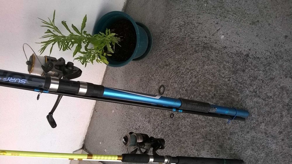 Canas de pesca para mar