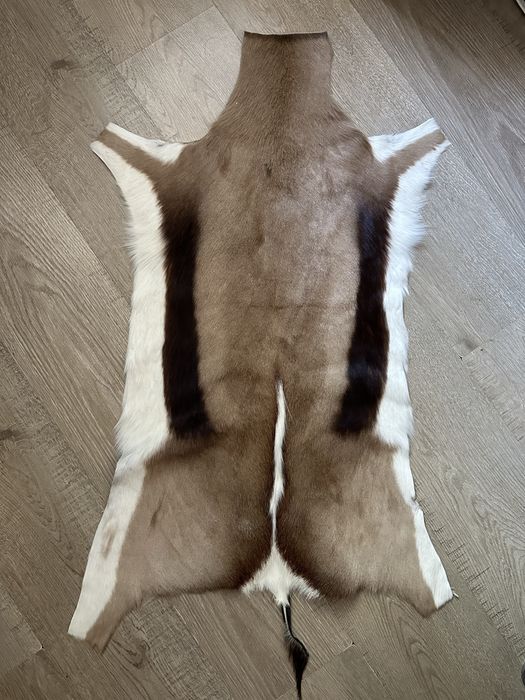 Килим шкіра спрингбок африканська антилопа