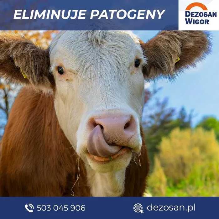 Dezosan Wigor Sucha dezynfekcja ściółki paleta 1000kg DOSTAWA GRATIS