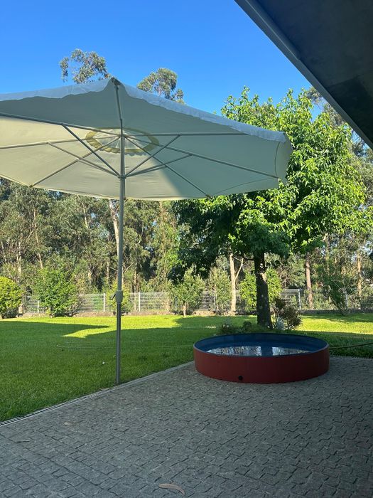 Dog Pool64751068227457122