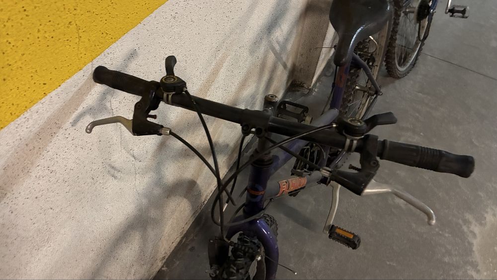 Bicicleta jovem adulto