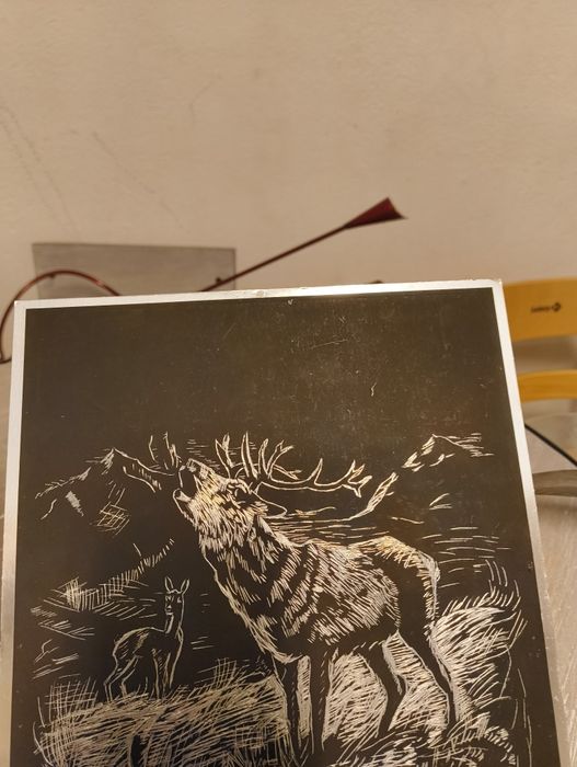 Grafiki leśnych zwierząt