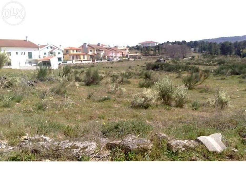 Terreno para construção em Moimenta da Beira (Bairro Sra de Fátima)