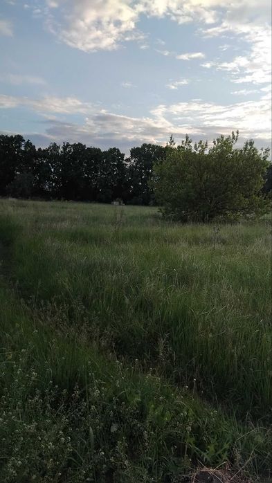 Продаж земельної ділянки в с. Слобода по вулиці Лісовій