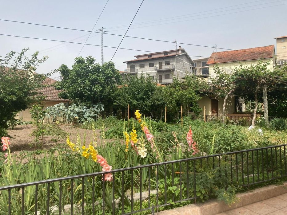 [28/06, 11:47] PORTO... Alpendurada e Matos, Marco de Canave