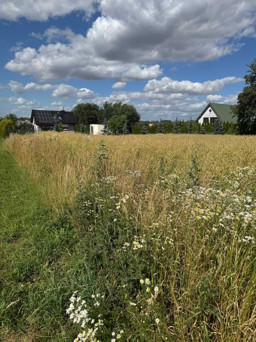 Budowlana 3094m²–Rezerwat Wiączyń, 1 km od granicy Łodzi, gotowe media