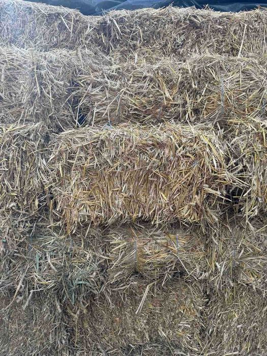 Продам тюки соломи