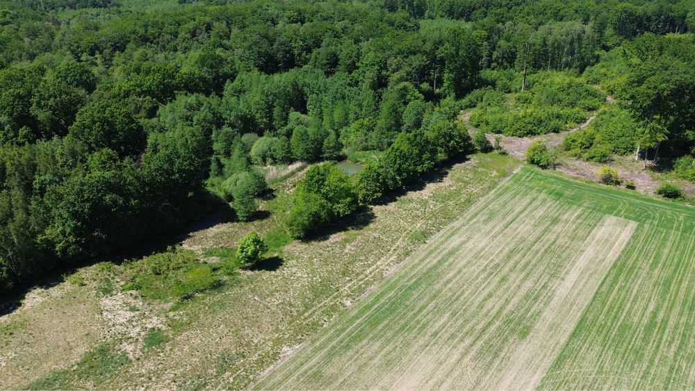 Działka budowlana pod lasem z własnym stawem obok Słupska - View 5