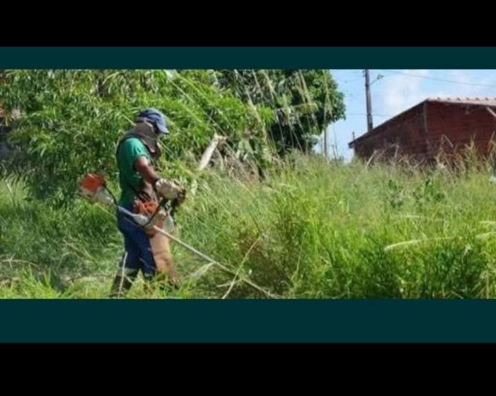 Limpeza de casas,terrenos e garagens