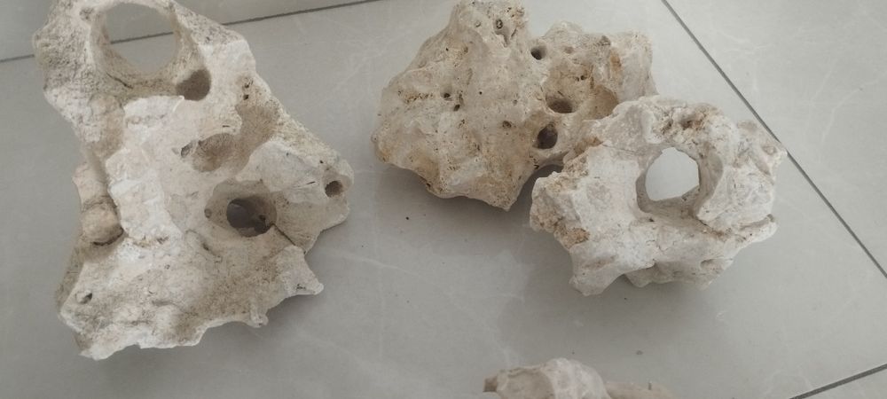 Rochas pedras brancas aquário