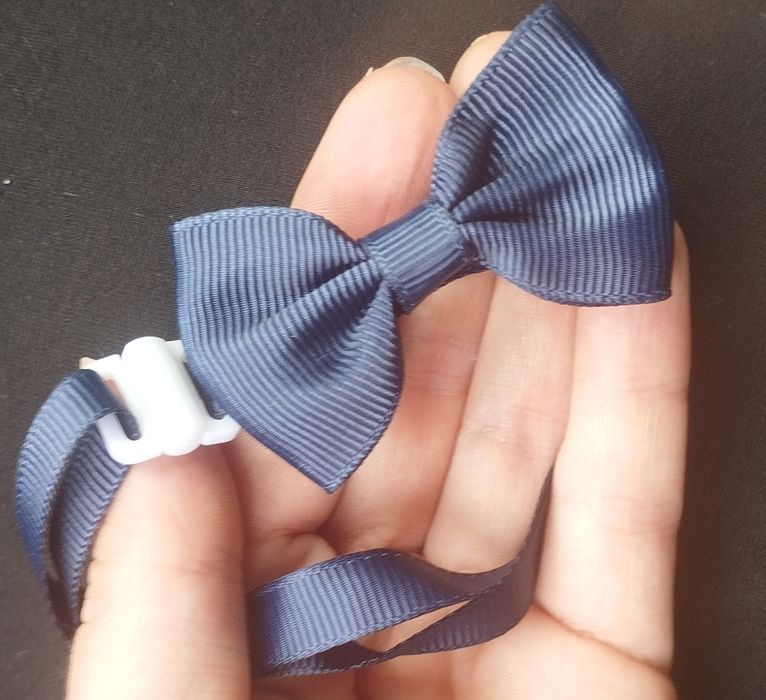 Coleira gato ou cão pequeno