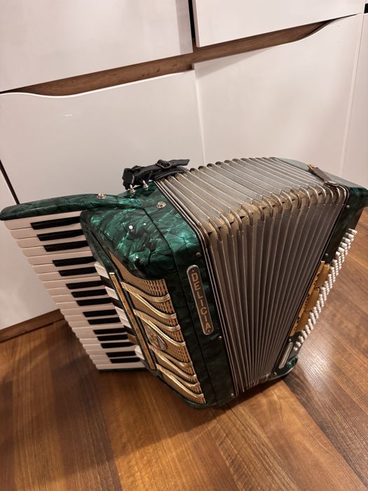 Akordeon Delicia Melodia VII 96 basów zielony