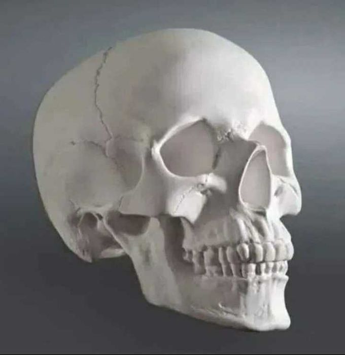 Декор для террариума