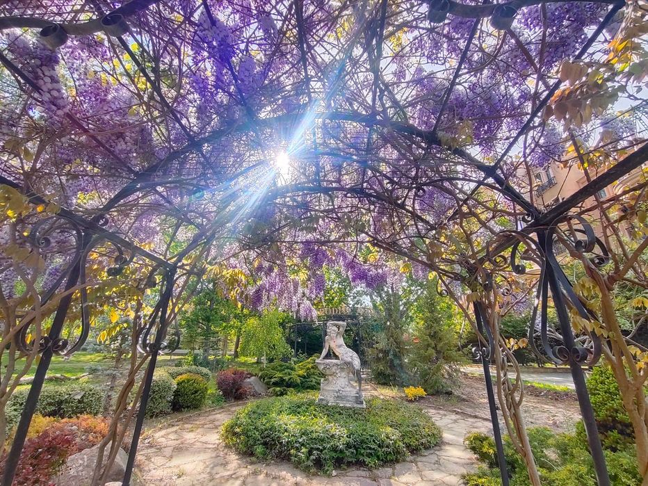 Аренда Апартаментов в Престижном Комплексе в Болгарии, Солнечный Берег