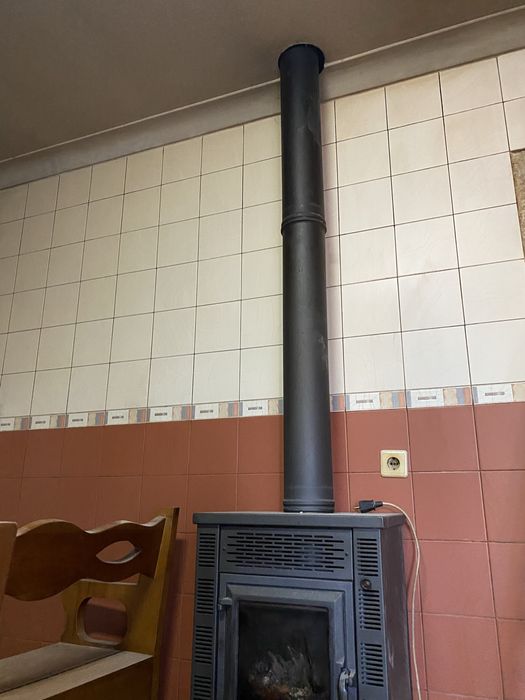 Vendo salamandra