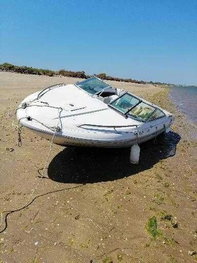 Barco de recreio, Sea Ray