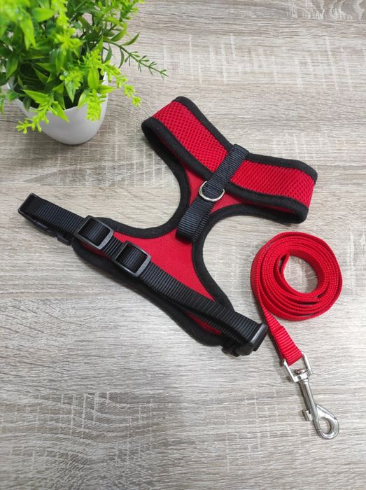 Шлея для собак із повідцем