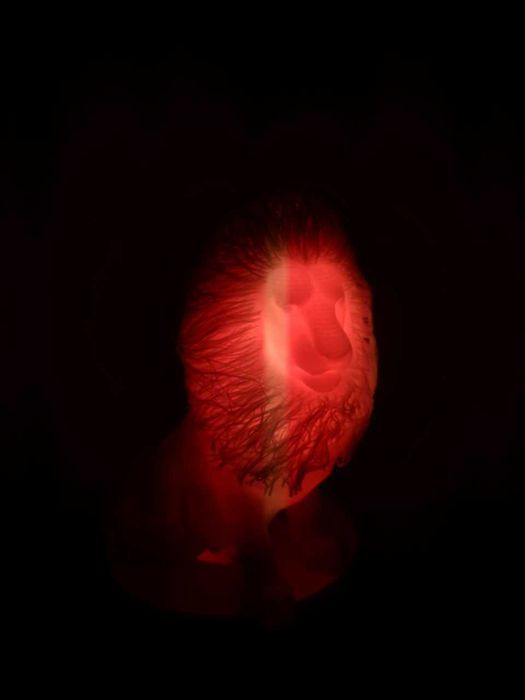 Leão luminescente c/ luz RGB