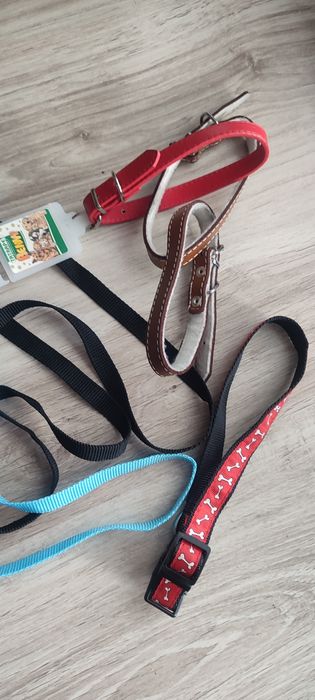 Paski skórzane i 2 smycze dla psa