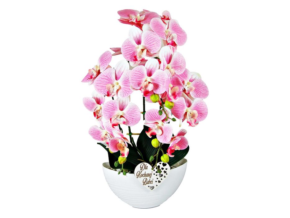 Kwiaty Dla Babci Najlepszy Prezent Storczyk Silikon Wysyłka Magnolit