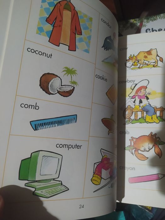 Primeiro dicionário de inglês livro capa dura impecável