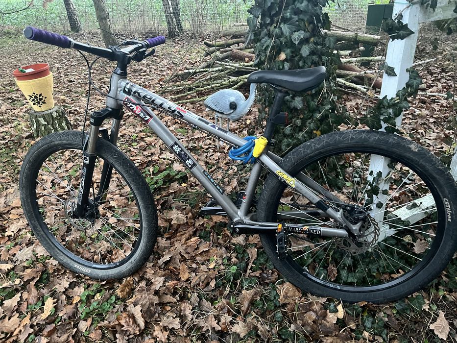 Kellys whip 10 raw 2023r