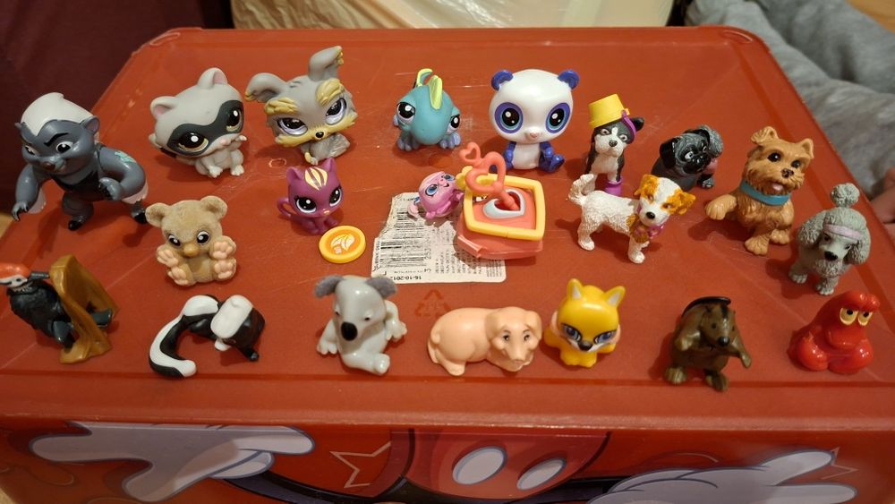 Pet shop i zwierzaczki