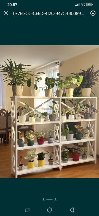 Стелаж  полка дерев'яна