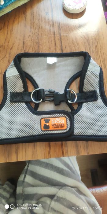 Жилет-шлея для собак