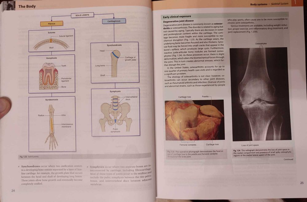 терміново. продам Підручник анатомія Грея. Gray’s anatomy