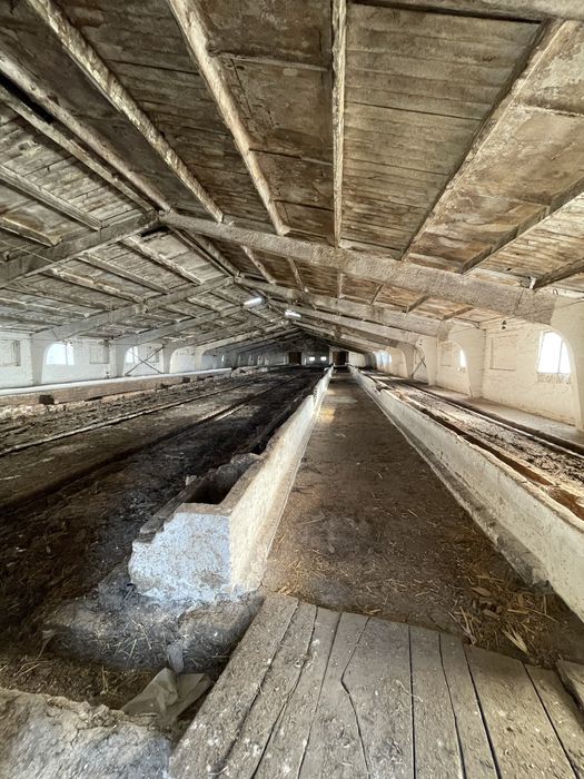 Молочно товарна ферма