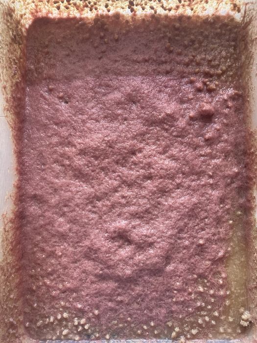 Трубочник Изя. Израильский трубочник Изя. Живой корм для рыбок