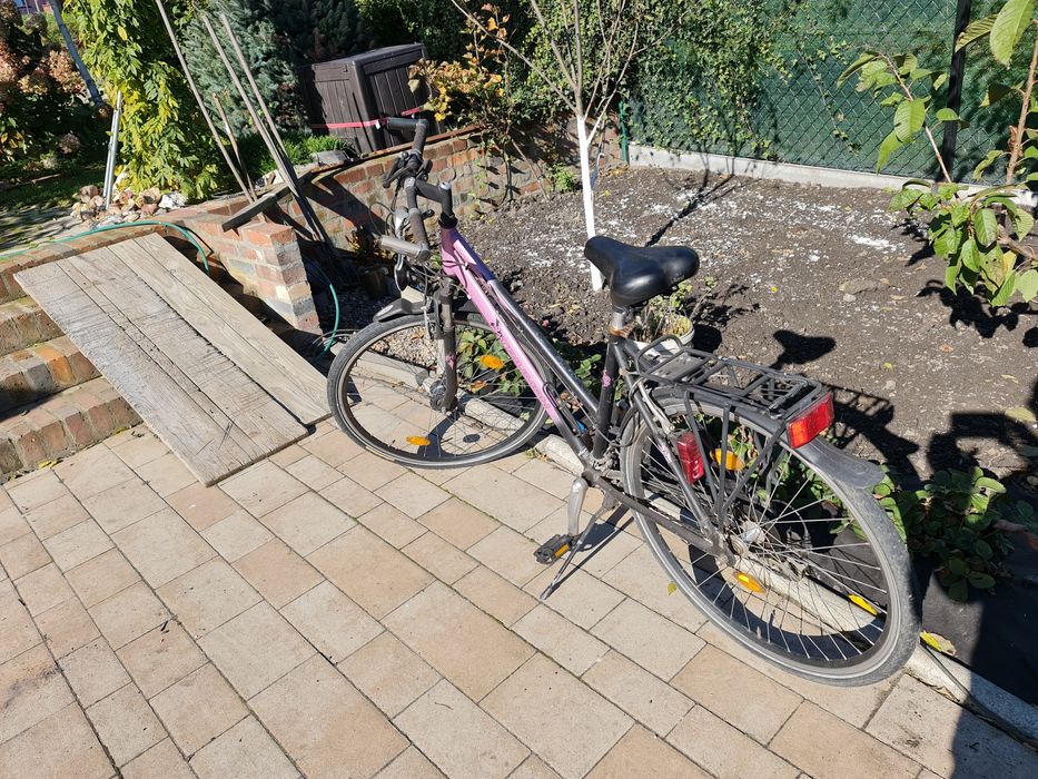 Rower miejski trumph.