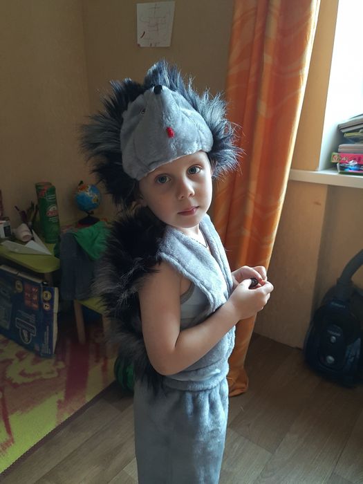 Здам напрокат чудовий костюм їжачка 3-6 років м.  Полтава