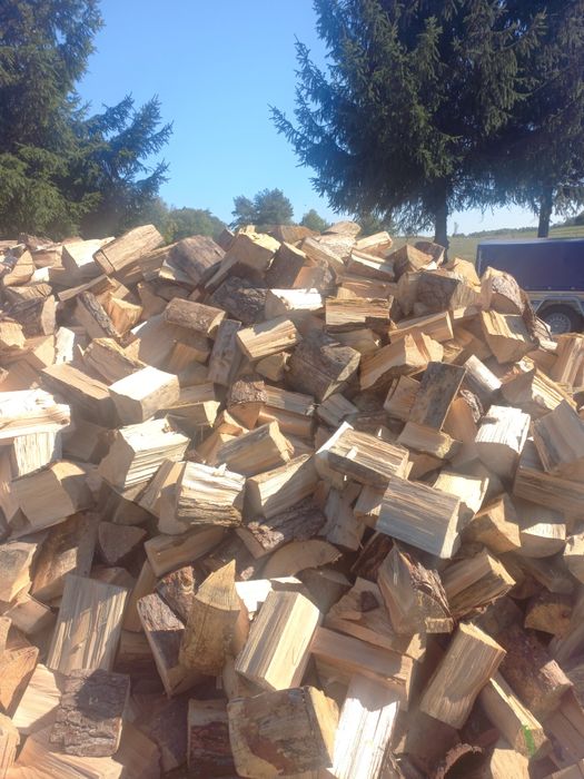 Drewno opalowe sosna 1 zl