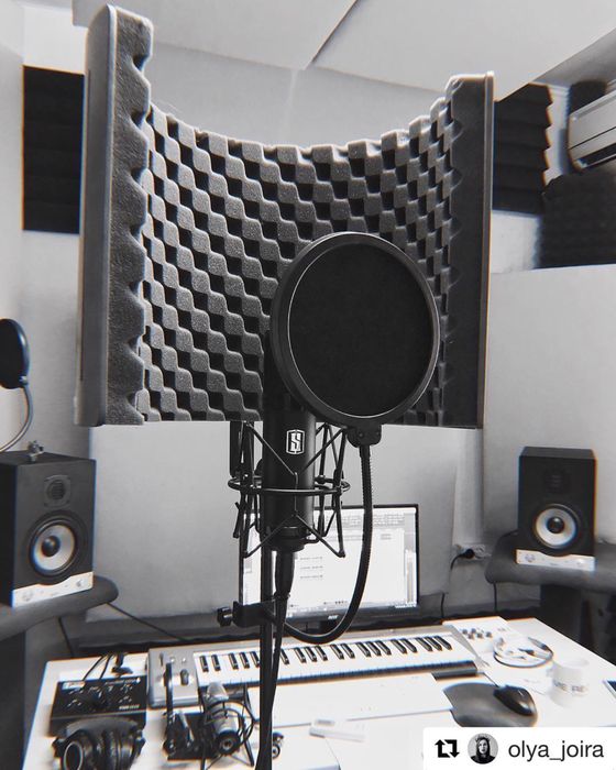 Студийные мониторы Eve Audio SC207