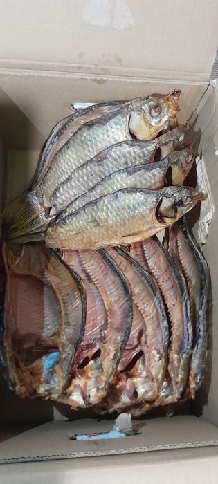 В'ялена таранька,густиря,лещ,судак,бичок