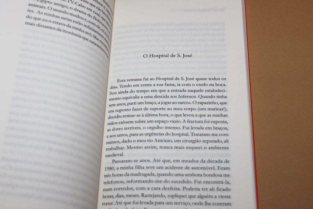 Os Sentimentos de Uma Ocidental// Maria Filomena Móniica