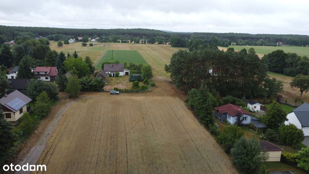 zabudowa mieszkaniowa pod lasem i zagrodowa