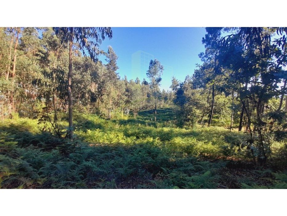 Terreno para construção